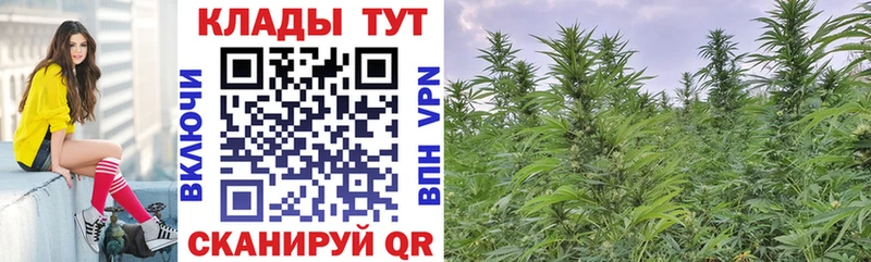Купить наркотик аптеки Горбатов APVP  Гашиш  Каннабис 