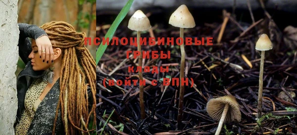 трава Балахна