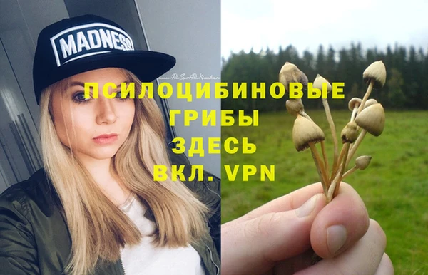 трава Балахна