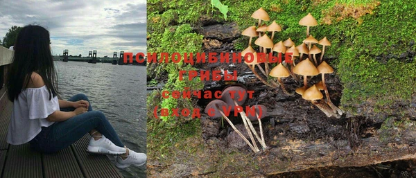 трава Балахна